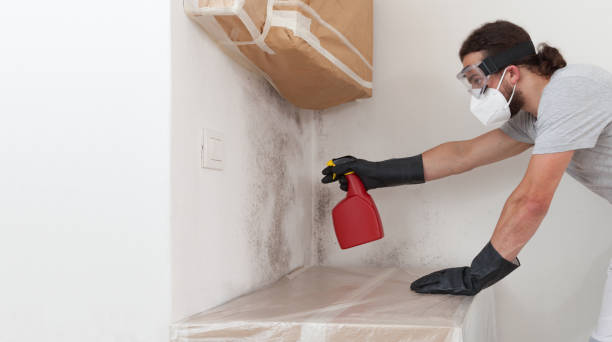 Professional Mold Remediation technician working in Atlantic Highlands, NJ